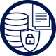 Data Security Icon (2)