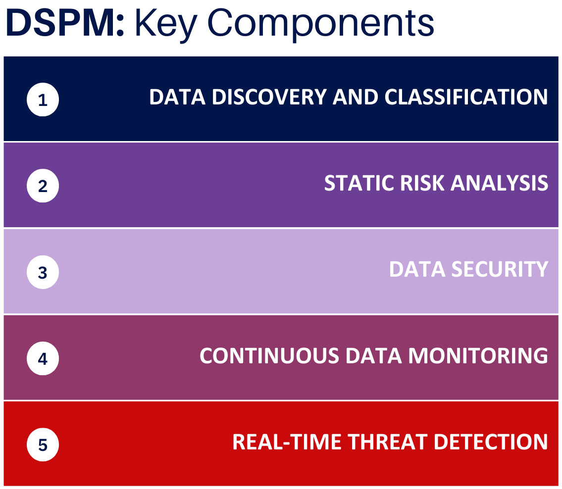 Key Components of DSPM (1)-1